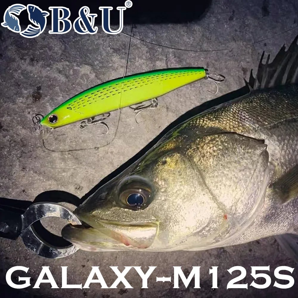 B&U 125mm Sinking Minnow Sea F - Fishing Lure Jerkbait のレビューと価格